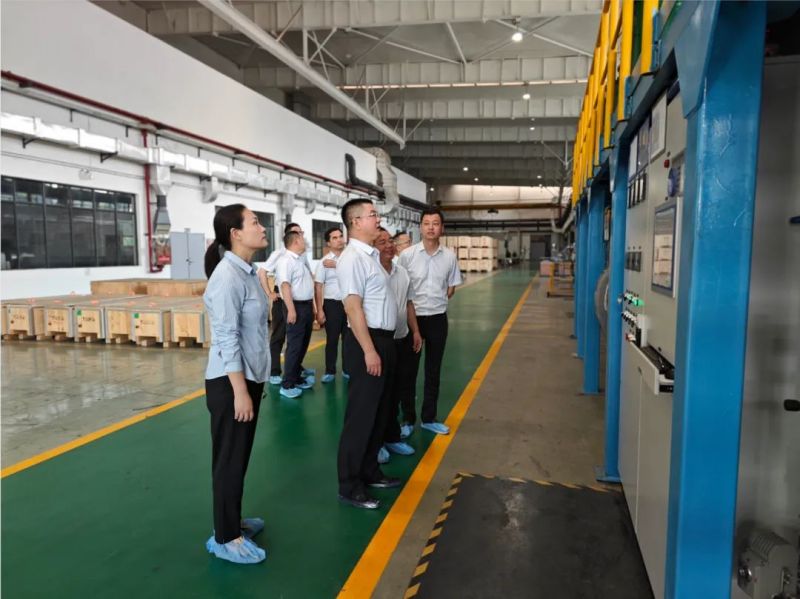 Bí thư Đảng ủy và Chủ tịch Trung Quốc Kim loại Hiếm Trung Quốc, ông Lý Trọng Dực đến thăm Công ty Vật liệu Hiếm